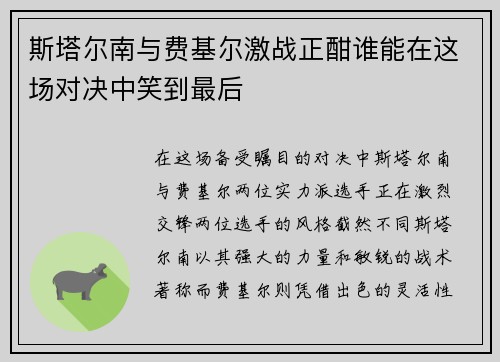 斯塔尔南与费基尔激战正酣谁能在这场对决中笑到最后